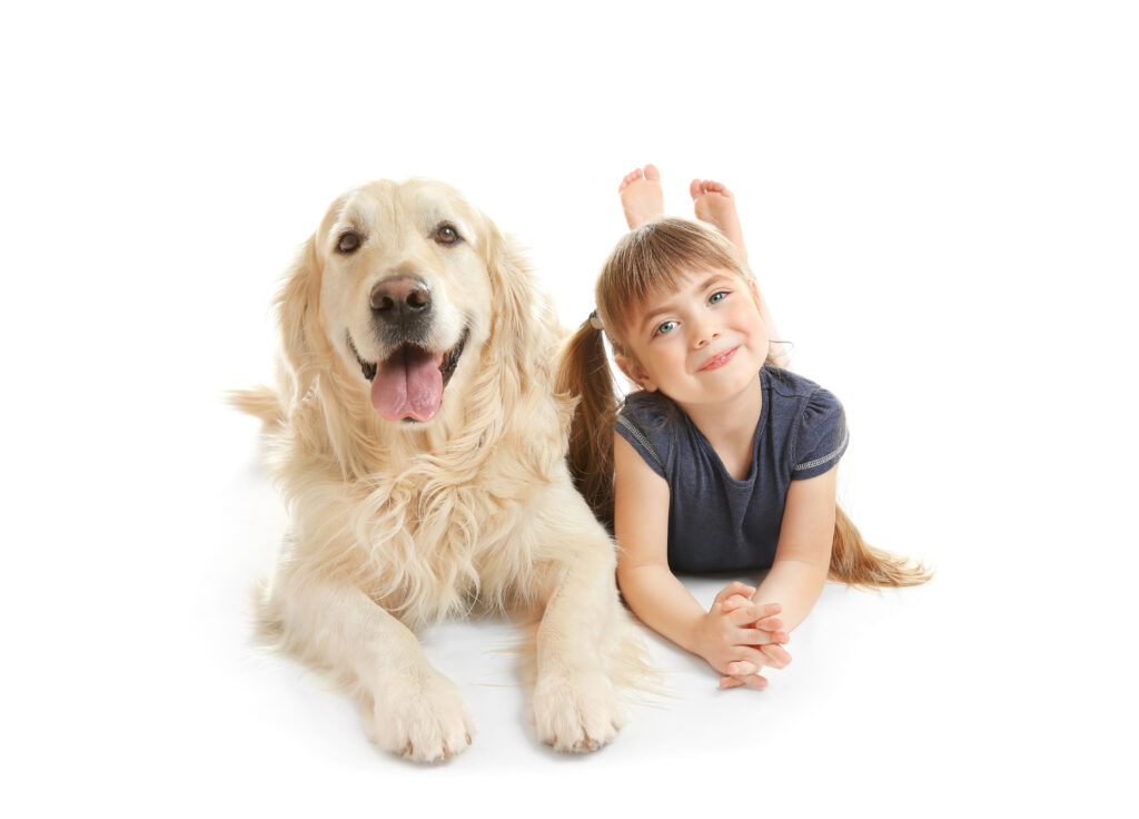 little girl and big kind dog isolated on white