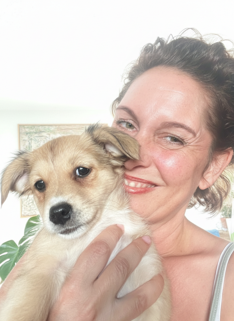 firefly gemini flash hintergrund heller 186861