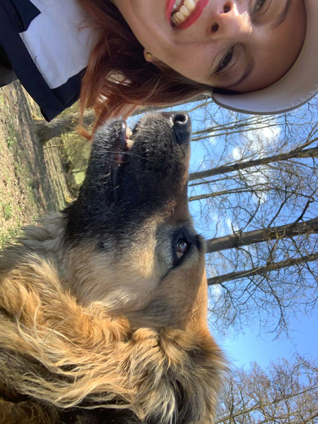 team-schulhundschule