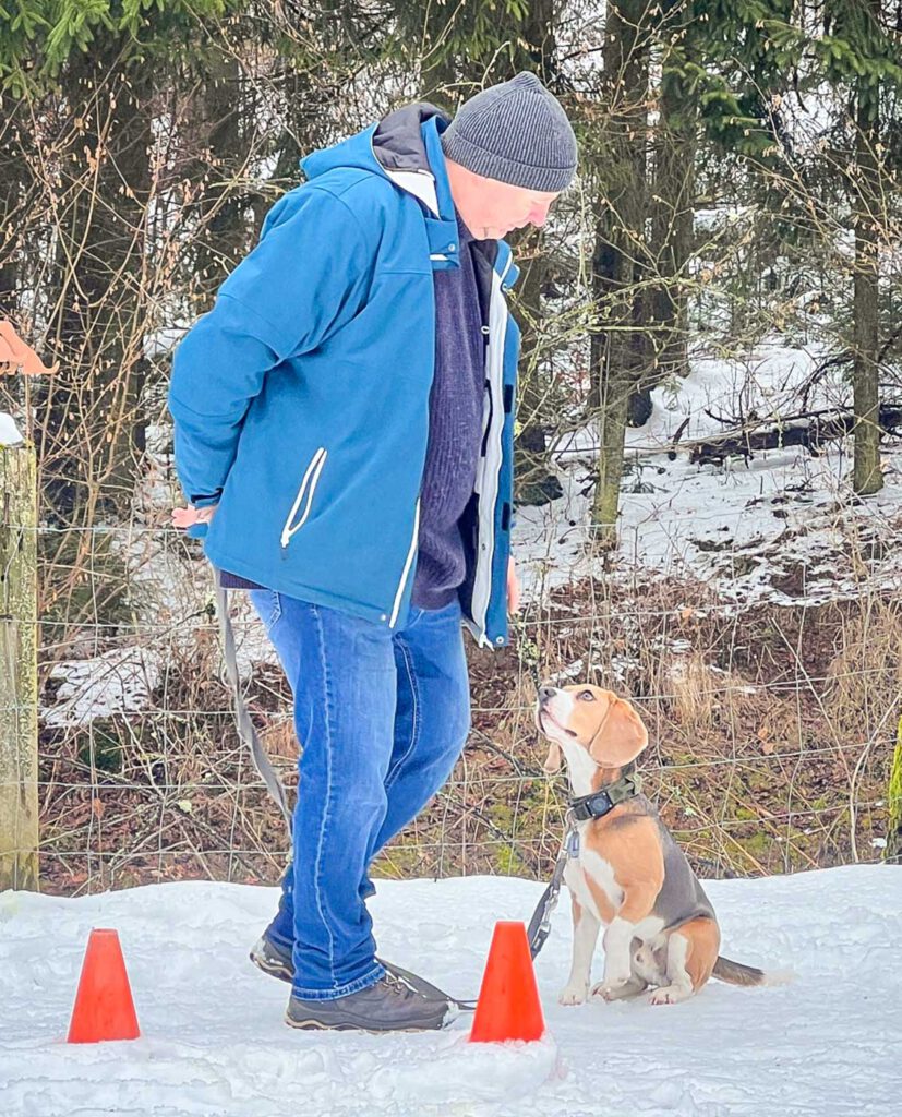 Begleithundtraining im Alltag