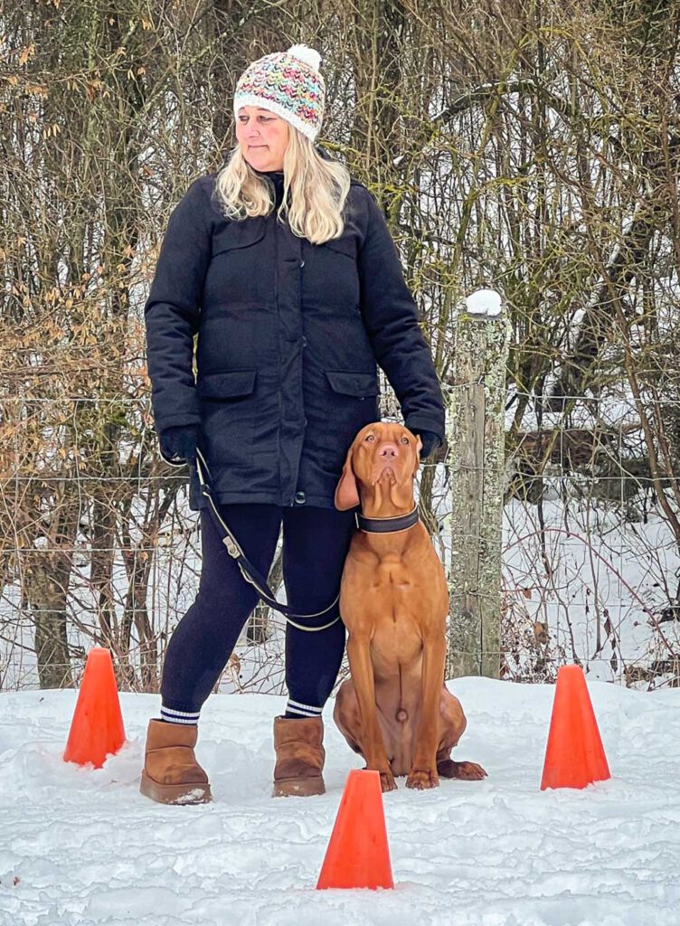 Hundeführerin arbeitet mit ruhigem Schulhund