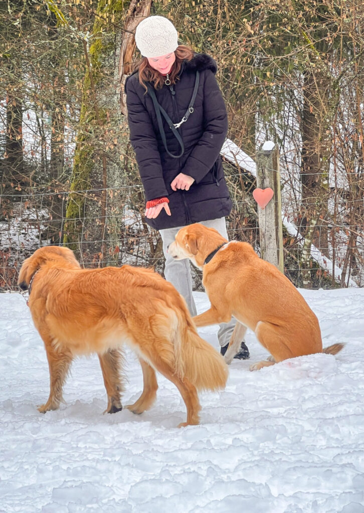 Hundetrainerin arbeitet mit Begleithund