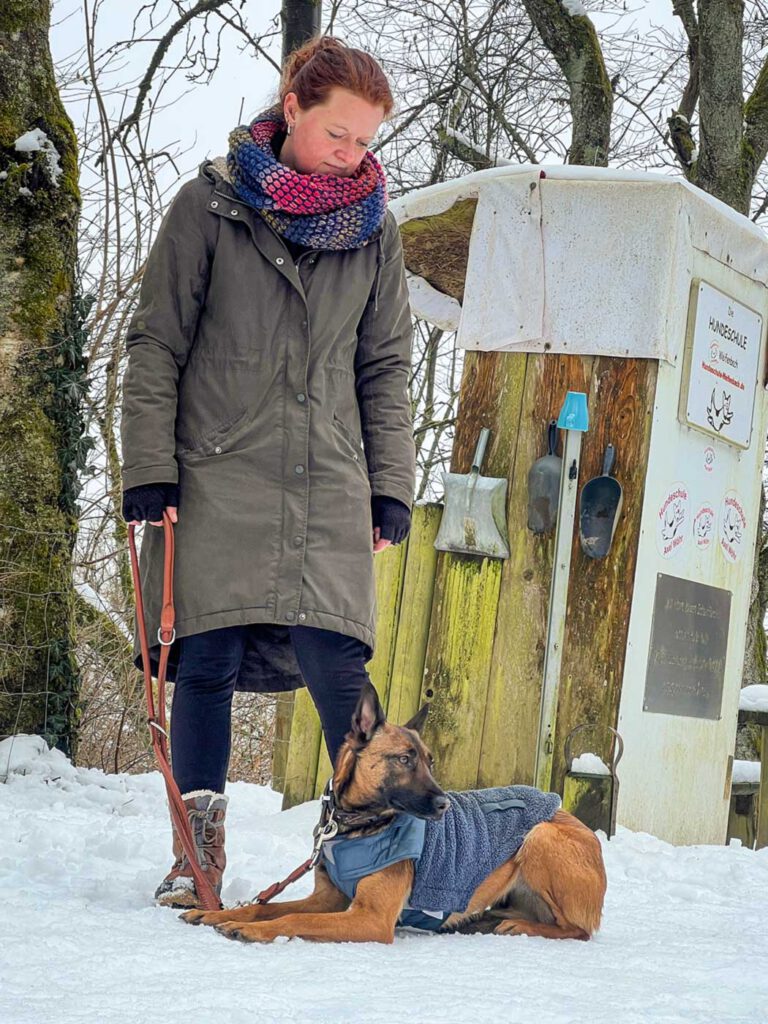 Hundeführerin arbeitet mit ruhigem Schulhund