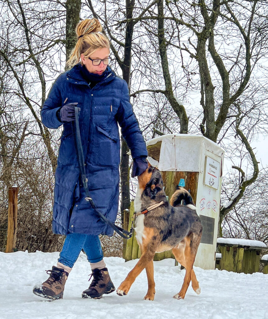 Begleithundtraining im Alltag