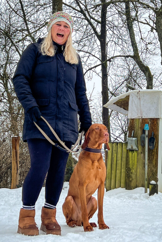 Begleithundtraining im Alltag