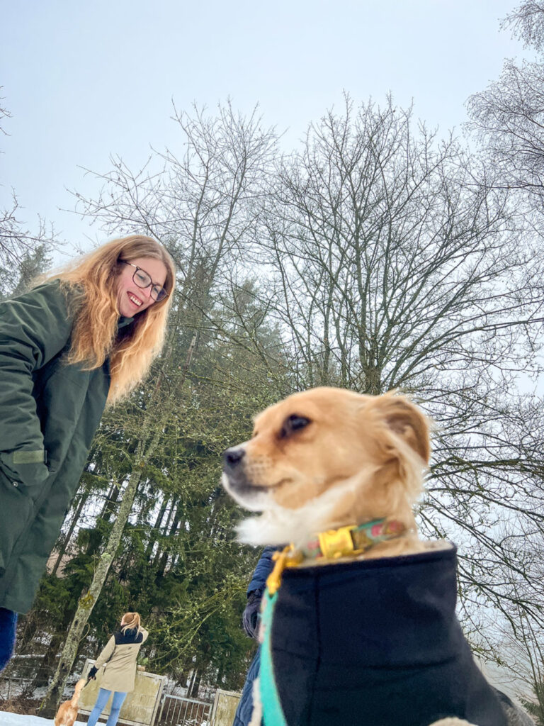 team-schulhundschule