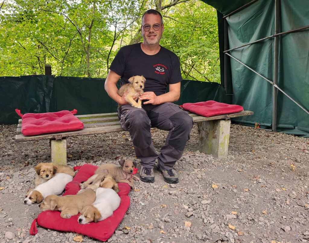 team-schulhundschule