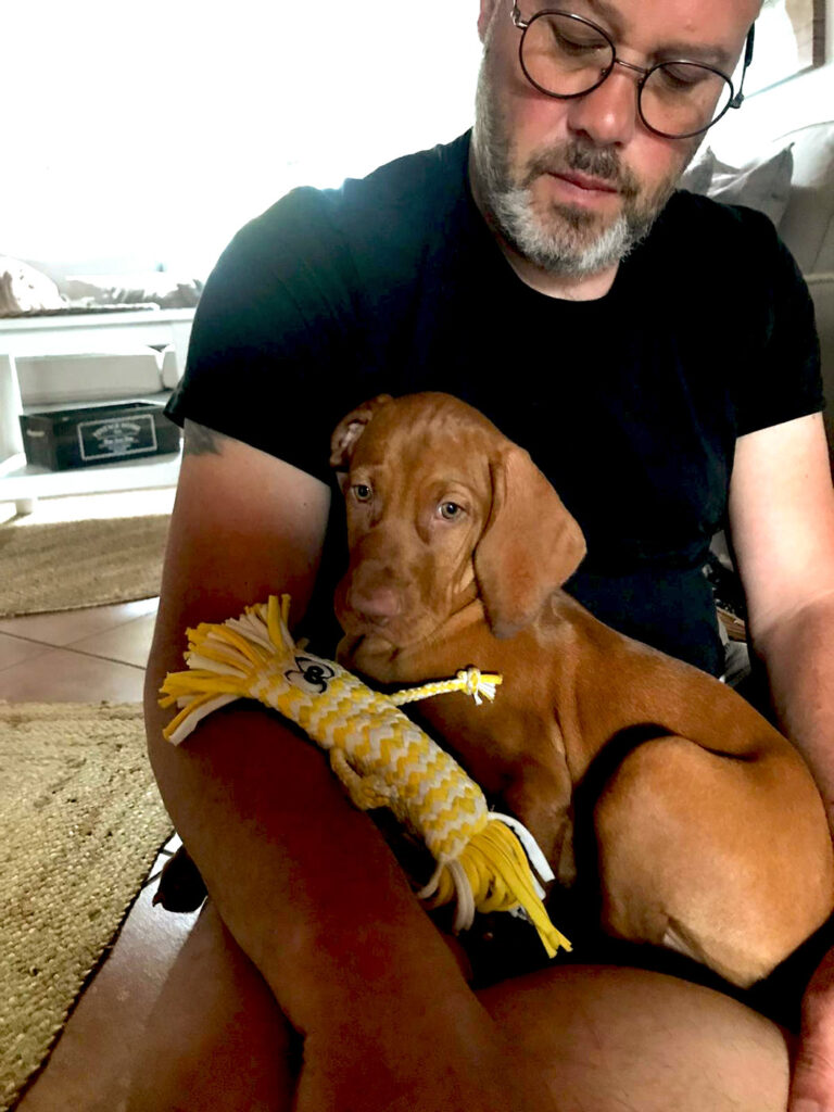 team-schulhundschule